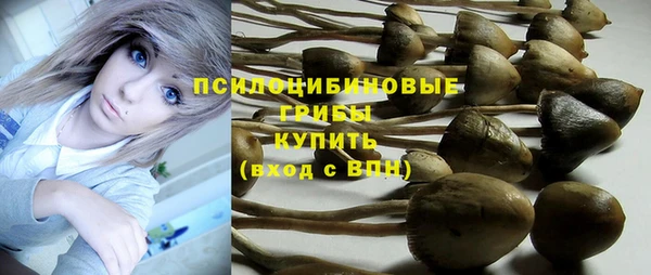 спайс Заводоуковск