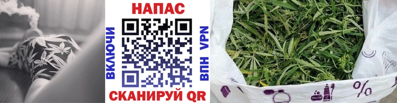 Купить где  Среднеуральск  Каннабис семена 